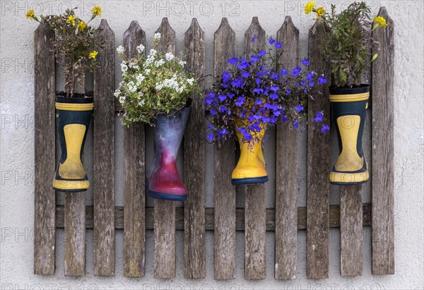Decoration with wooden fence and flowers in rubber boots, South Tyrol, Italy, Europe