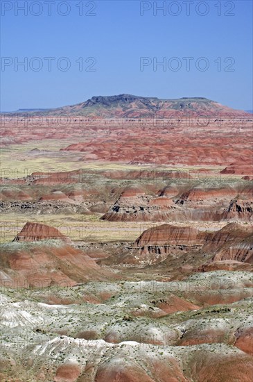 The Painted Desert, part of the Petrified Forest National Park stretches some 50, 000 acres of colorful mesas, buttes, and badlands, Arizona, USA, North America