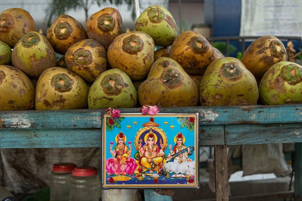 Hindu idol, coconut sale on the street, Chennai, Tamil Nadu, India, Asia