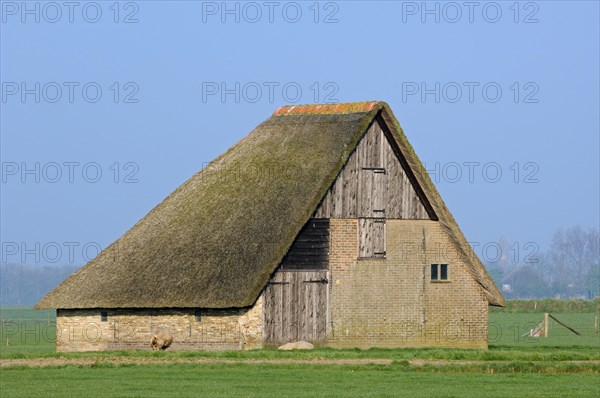 Schapenboet, a traditional barn for storing hay, Texel, Frisian Islands, the Netherlands