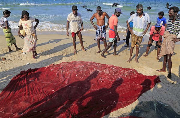 Traditional fishing hauling nets Nilavelli beach, near Trincomalee, Eastern province, Sri Lanka, Asia