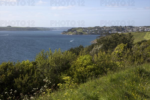 Sea view and wildflowers landscape at the end of the Roseland peninsula, Cornwall, England, UK