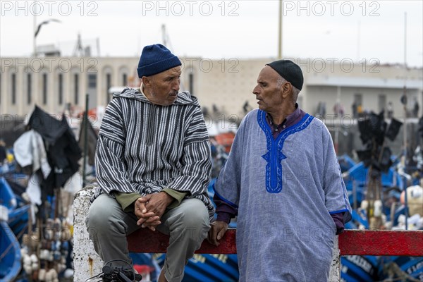 Portrait, Men sitting in the harbour, Essaouira, Morocco, Africa