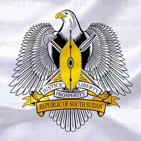 Africa, African Union, the coat of arms of South Sudan, Studio