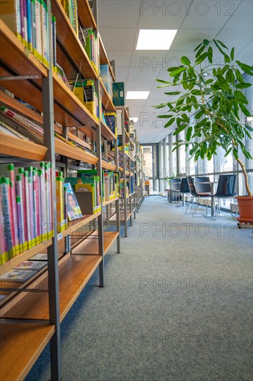 View of bookshelves in a bright library with green plants and windows, Black Forest, Nagold, Germany, Europe