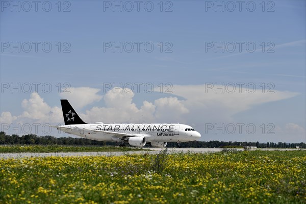 Star Alliance Airbus A320-200 taxiing after landing on taxiway from Runway North to Terminal 2 in front of storm front and thundercloud, Munich Airport, Upper Bavaria, Bavaria, Germany, Europe