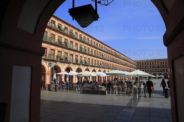 Historic buildings in Plaza de Corredera seventeenth century colonnaded square, Cordoba, Spain, Europe