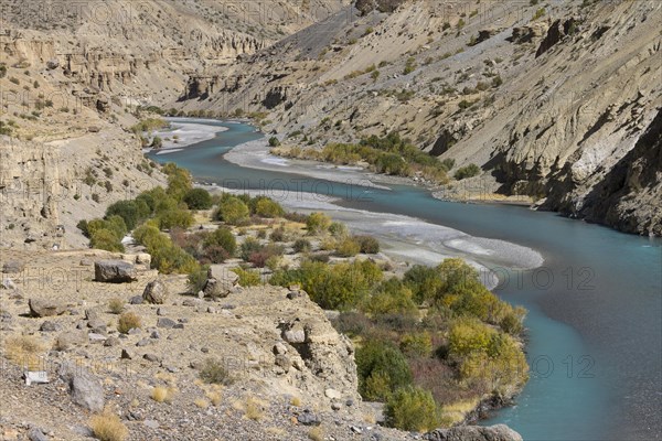 Tsarab River, cutting across the Zanskar Range of the Himalayas in Ladakh, seen on a sunny day, late in the summer, when glacier rivers like this one slow down, carry less sediment and become turquoise blue. Kargil District, Union Territory of Ladakh, India, Asia
