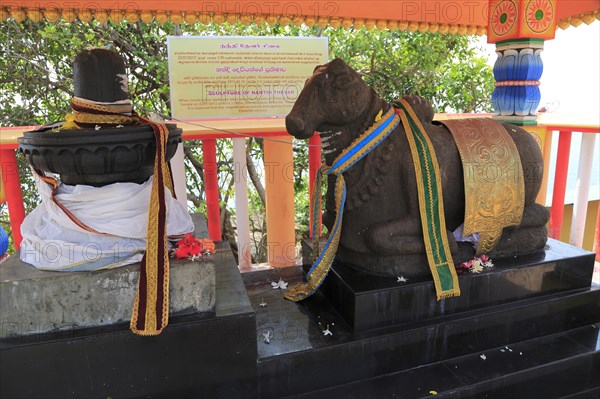 Koneswaram Kovil Hindu temple, Trincomalee, Sri Lanka, Asia