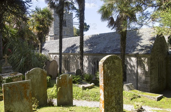 Historic gravestones and church amidst sub-tropical plants, St Just in Roseland, Cornwall, England, UK