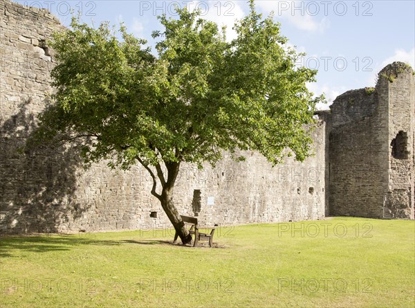 Abergavenny castle, Monmouthshire, South Wales, UK