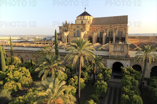 Raised angle view of Great Mosque, Mezquita cathedral, former mosque building in central, Cordoba, Spain, Europe