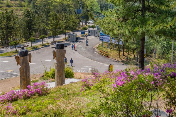 Back of large wooden totem poles in park at Goseong Unification Observation Tower in Goseong, South Korea, Asia