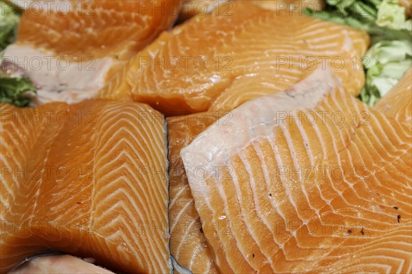 Fish, Rialto market, fish market, Venice, Veneto, Italy, Europe