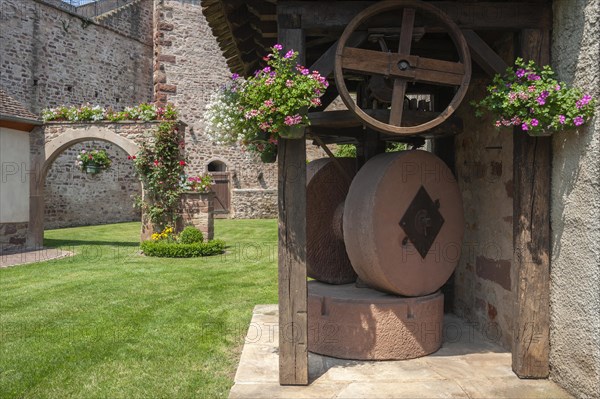 Historic municipal wine press and former town wall, Westhoffen, Alsace, France, Europe