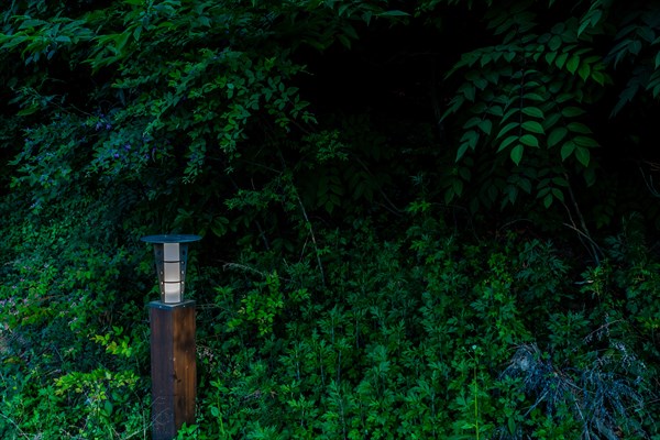 Outdoor lamp on wooden post in public park illuminated in early evening