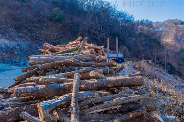 Logging truck sitting on mountain road in front of large pile of cut logs