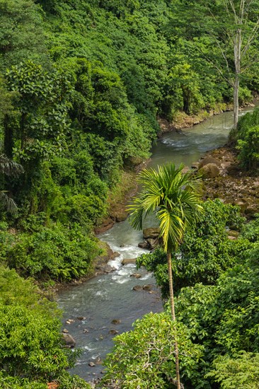 River near Tegenungan waterfall, Bali island, Ubud, Indonesia. Jungle, tropical forest, daytime with cloudy sky