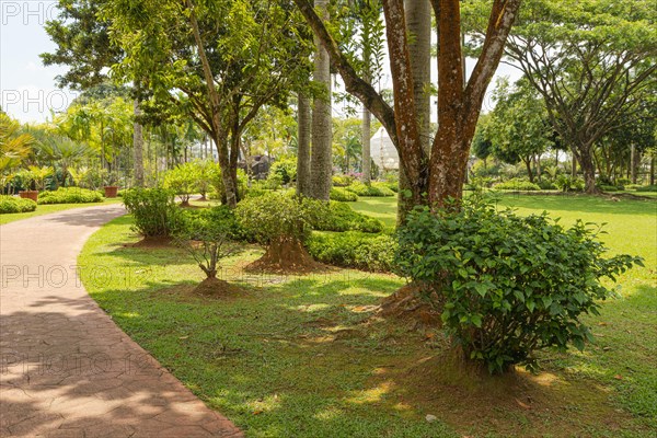 Palm collection in city park in Kuching, Malaysia, tropical garden with large trees and lawns, gardening, landscape design. Daytime with cloudy blue sky, Asia