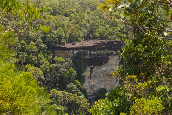 Cliff in Bako national park, sunny day, blue sky and sea. Vacation, travel, tropics concept, no people, Malaysia, Kuching, Asia