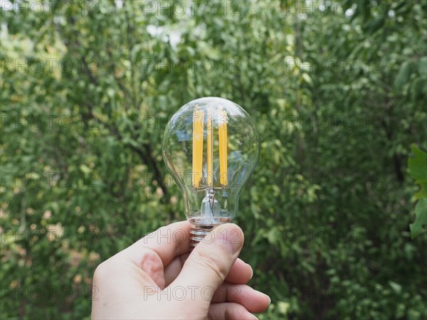 Modern green led bulb