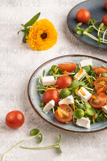 Vegetarian vegetables salad of tomatoes, marigold petals, microgreen sprouts, feta cheese on gray concrete background. Side view, close up