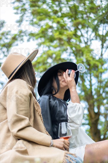 Lifestyle of young friends in hats sitting on the grass toasting with wine. Side view of two women friends in hats sitting drinking wine sitting on the grass