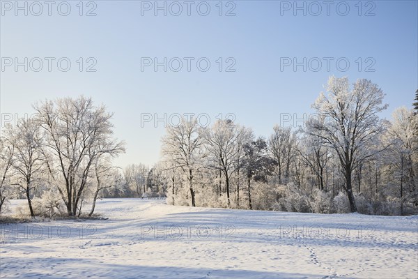 Snowy winter landscape near Polling an der Ammer. Polling, Paffenwinkel, Upper Bavaria, Germany, Europe