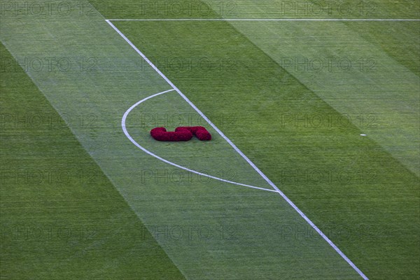 Symbolic shirt number 5 as a flower arrangement on the lawn of the Allianz Arena in honour of Franz Beckenbauer, FC Bayern Munich funeral service for Franz Beckenbauer, Allianz Arena, Froettmaning, Munich, Upper Bavaria, Bavaria