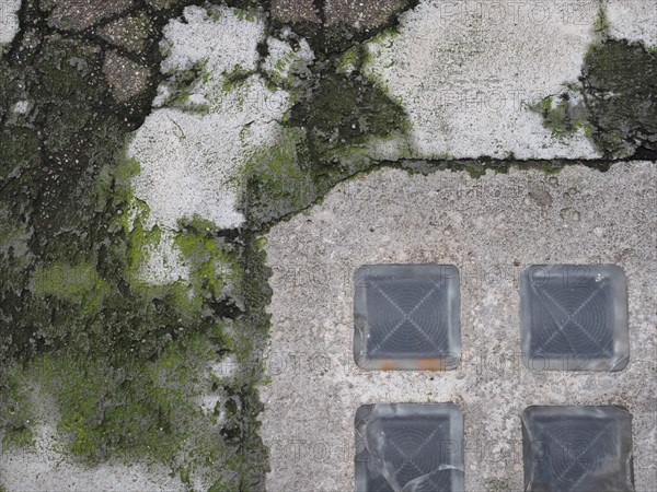 Mossy concrete floor texture background