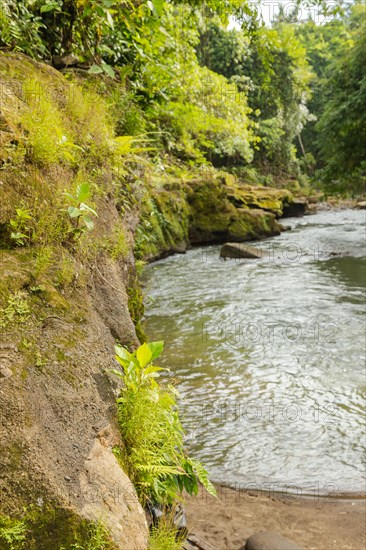 Uma Anyar waterfall, Bali island, Ubud, Indonesia. Jungle, tropical forest, daytime with cloudy sky