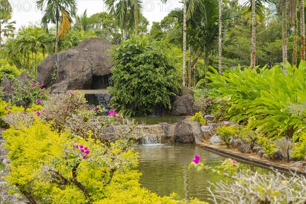 Palm collection in city park in Kuching, Malaysia, tropical garden with large trees, pond with small waterfall, gardening, landscape design. Daytime with cloudy blue sky, Asia