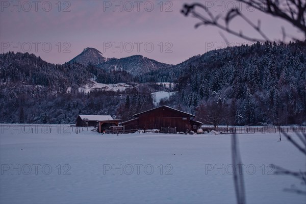 Horse stable on a snow-covered meadow at sunrise with mountain panorama, Niederndorf, Austria, Europe