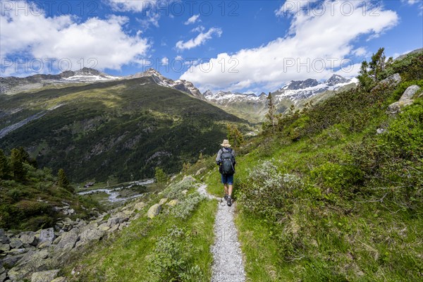 Mountaineers on a hiking trail in front of a picturesque mountain landscape, rocky mountain peaks with snow, valley Zemmgrund with Zemmbach, mountain panorama with summit Zsigmondyspitze and Grosser Moerchner, Berliner Hoehenweg, Zillertal Alps, Tyrol, Austria, Europe