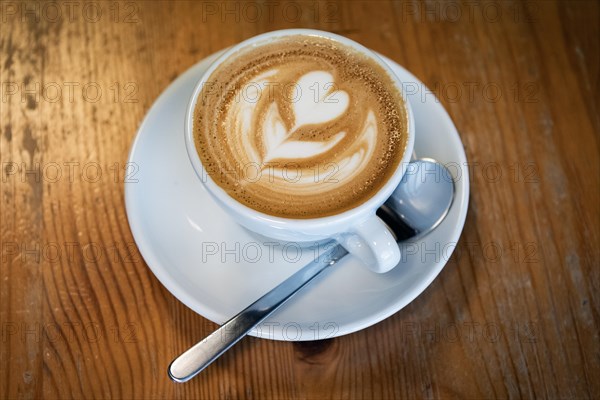 Cappuccino, flower made of milk foam, Reykjavik, Iceland, Europe