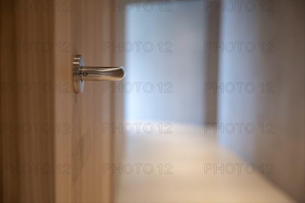 Modern Wood Door with Metal Handle in Corridor in Switzerland