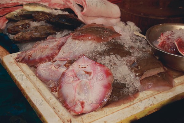 Fresh stingrays on ice at the seafood section of Samaki Market in Kampot, Cambodia, Asia