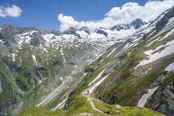 Mountaineer on hiking trail in picturesque mountain landscape, in the background mountain peak Grosser Loeffler and Oestliche Floitenspitze with glacier Floitenkees, valley Floitengrund, Berliner Hoehenweg, Zillertal Alps, Tyrol, Austria, Europe