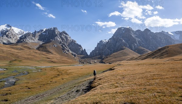 Mountaineer hiking to the mountain lake Kol Suu, mountain landscape with yellow meadows, river Kol Suu and mountain peaks with glacier, Keltan Mountains, Sary Beles Mountains, Tien Shan, Naryn Province, Kyrgyzstan, Asia