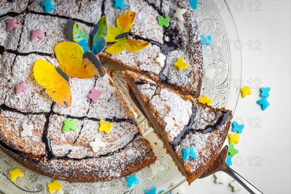 Succulent cake with butterfly decoration and colourful sprinkles on a glass plate, white base