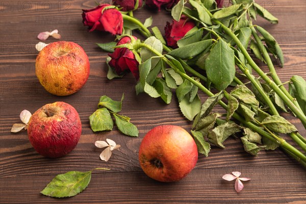 Withered, decaying, roses flowers and apples on brown wooden background. side view, close up, still life. Death, depression concept