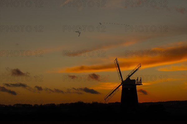 Windmill silhouetted at sunset with a red sky and clouds and a skein or flock of Pink-footed geese (Anser brachyrhynchus) flying above, Burnham Ovary Staithe, Norfolk, England, United Kingdom, Europe