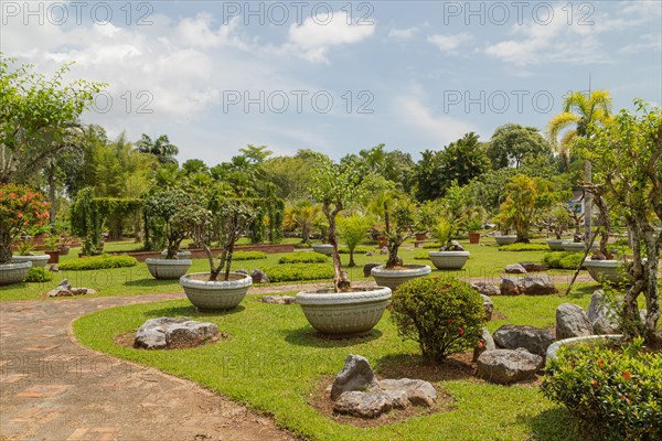 Palm collection in city park in Kuching, Malaysia, tropical garden with large trees and lawns, gardening, landscape design, stone composition, rockery. Daytime with cloudy blue sky, Asia