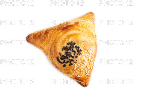Homemade asian pastry samosa isolated on white background. top view, flat lay, close up