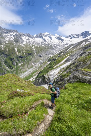 Mountaineer on hiking trail in picturesque mountain landscape, in the background mountain peak Grosser Loeffler and Oestliche Floitenspitze with glacier Floitenkees, valley Floitengrund, Berliner Hoehenweg, Zillertal Alps, Tyrol, Austria, Europe