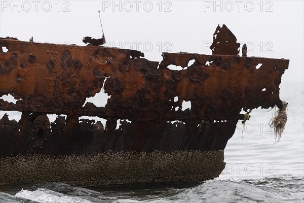 Rusty ship, abandoned herring factory Djupavik, Reykjarfjoerour, Strandir, Arnes, Westfjords, Iceland, Europe