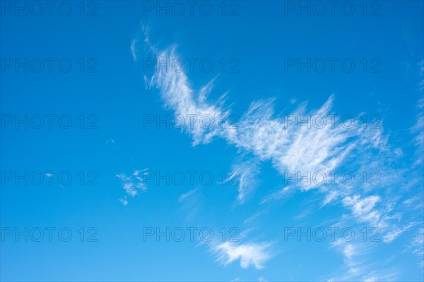 Delicate, white feather clouds, cirrus clouds, decorate the clear blue sky, spring, summer, Lower Saxony, Germany, Europe