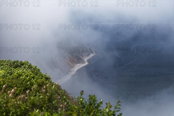 Coastal seascape in fog, Gulf of Saint Lawrence, Province of Quebec, Canada, sea, water, blue, North America