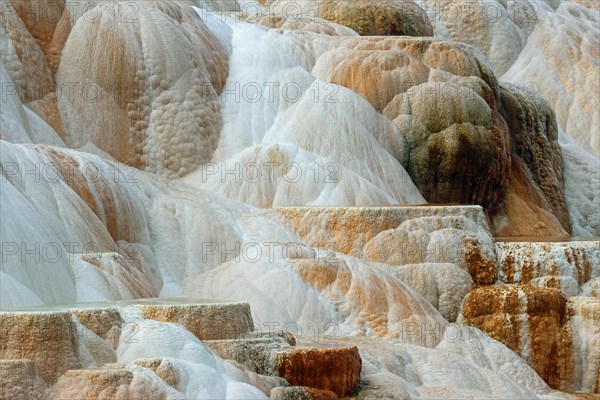 Mammoth Hot Springs, Yellowstone NP