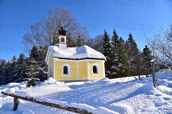 Snow-covered chapel Maria on the humpback meadows Werdenfelser Land near Garmisch in wintry idyll, Bavaria, Germany, Europe